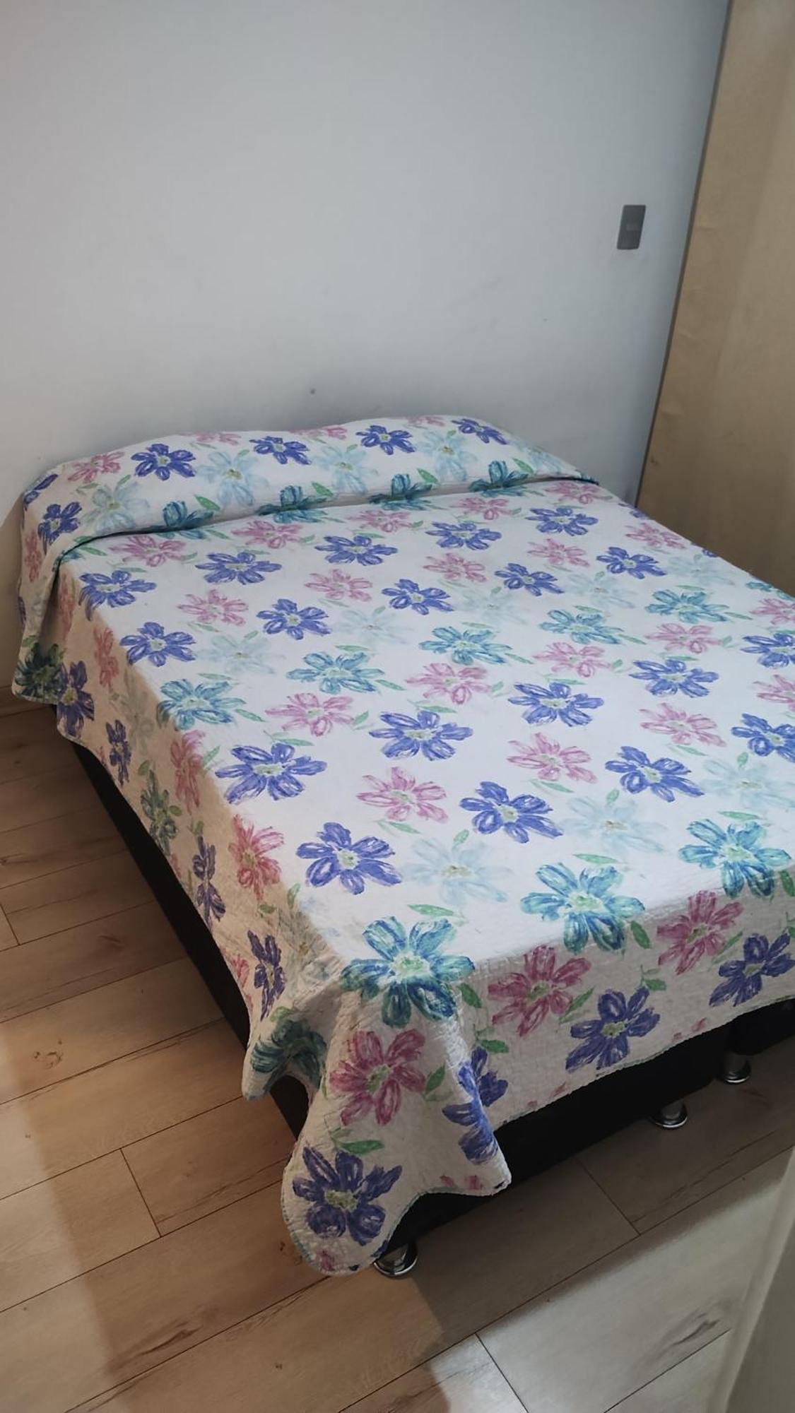 Apartamento Arriendo De Dpto Por Dia O Mensual Centrico Santiago
